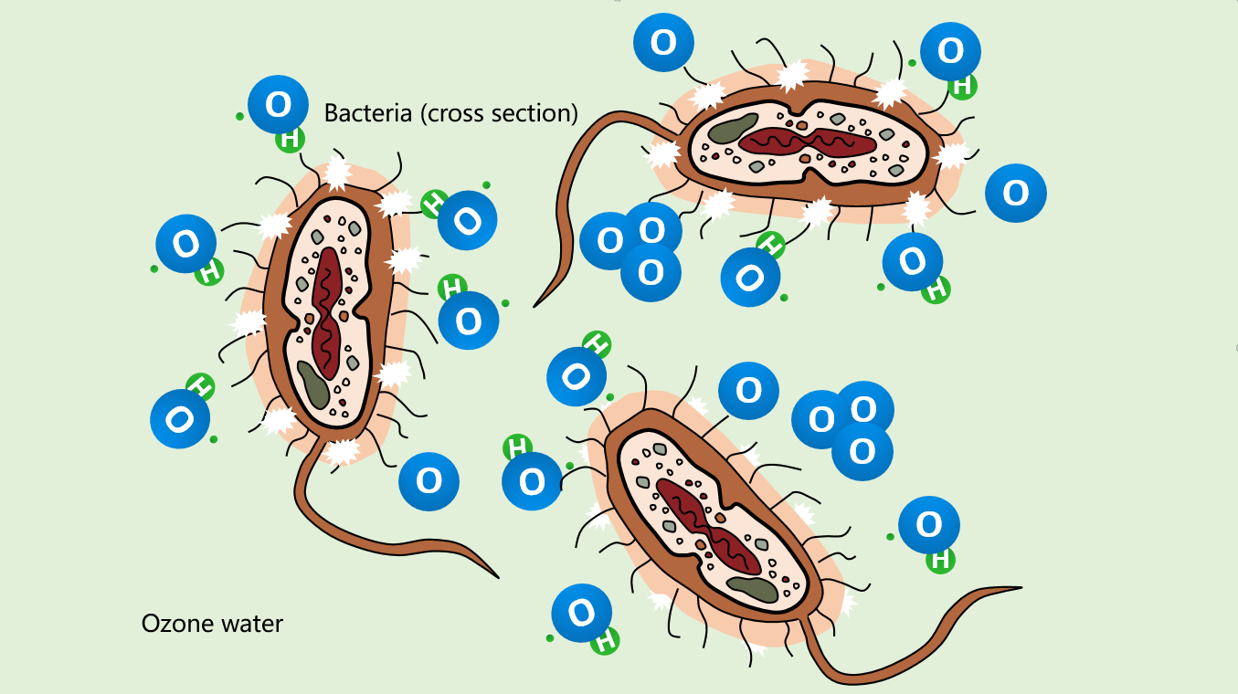 Ozone Disinfection mechanism Bluamec Technology